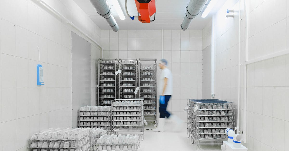 Home Blurred worker in a cold storage facility with shelves of perishable goods, emphasizing motion and efficiency.
